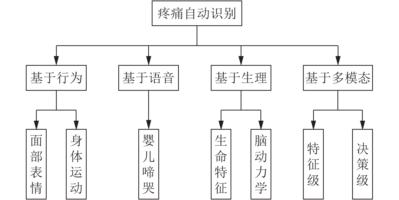 疼痛自动识别综述